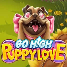 game logo by RubyPlay on hispincasino.eu
